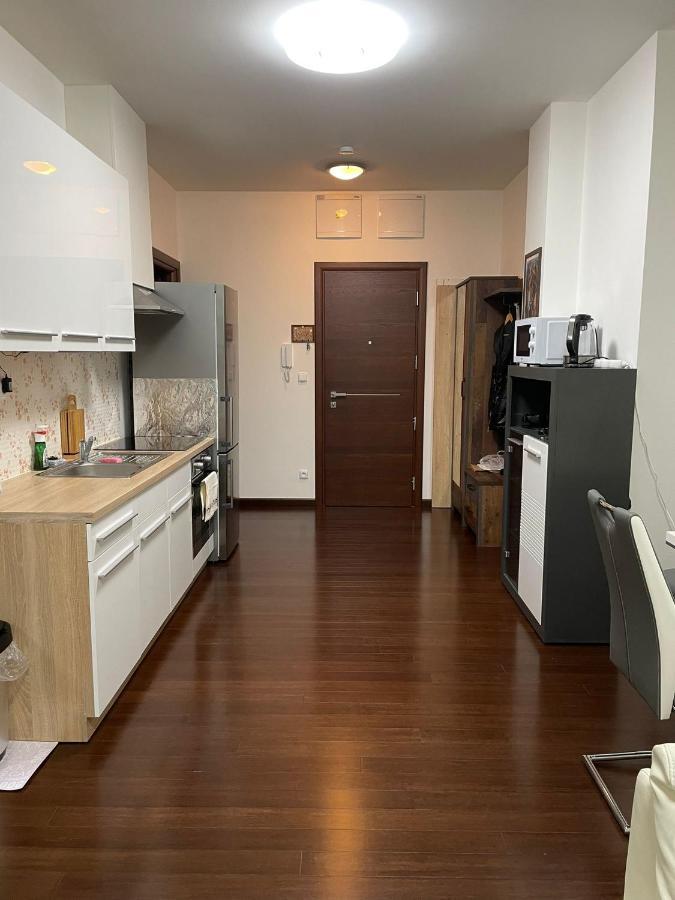 קרלובי וארי Spa Apartment Moser מראה חיצוני תמונה